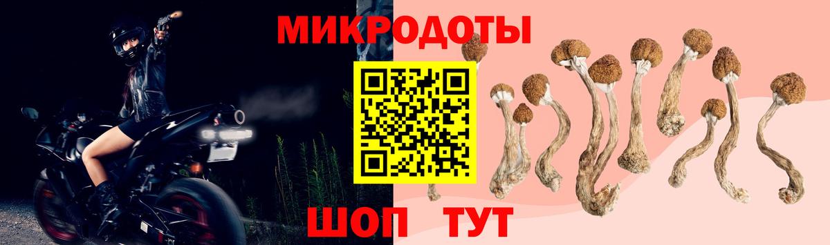 Галлюциногенные грибы GOLDEN TEACHER Бийск